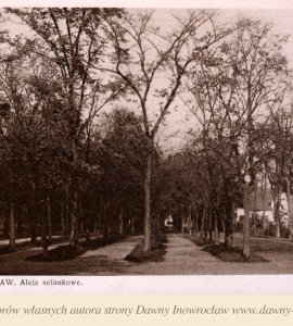 Aleje Solankowe - 1911 rok - Inowrocław. Aleje Solankowe.
Wyd. "POLWID" Bydgoszcz, 20 stycznia 11.