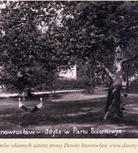 Idylla w Parku Solankowym - Inowrocław. Idylla w Parku Solankowym
fot. J. Trando