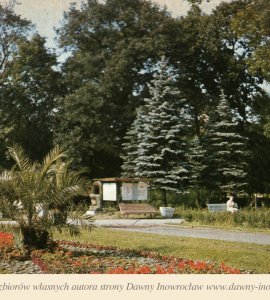 Park Zdrojowy - 1978 rok - Inowrocław. Park Zdrojowy.
Pocztówka wydana w 1978 roku.
Krajowa Agencja Wydawnicza
fot. W. Żyła